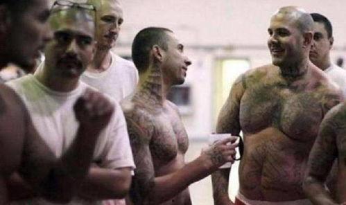 欧美监狱在线观看,在线观看带你走进真实监狱世界  第1张