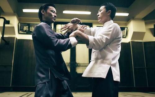 叶问1在线观看国语版,国术宗师传奇，拳拳到肉的国语版震撼呈现  第3张