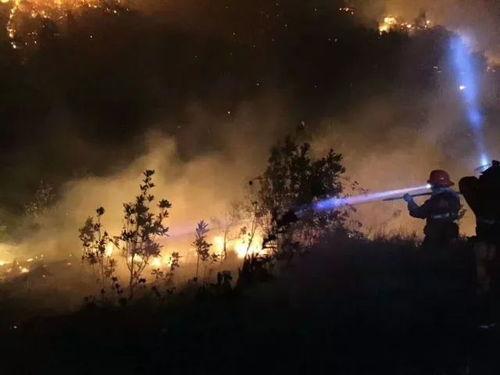 救火视频热点爆料,揭秘救火英雄的惊心动魄瞬间  第3张